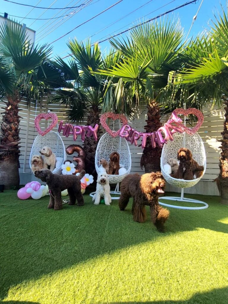 人工芝の庭で7匹の犬が誕生日を祝う屋外イベント。ピンクの“HAPPY BIRTHDAY”バルーンと数字の“3”バルーン、ハートや花型の装飾が並び、犬たちはエッグチェアや芝生の上でくつろいでいる。」